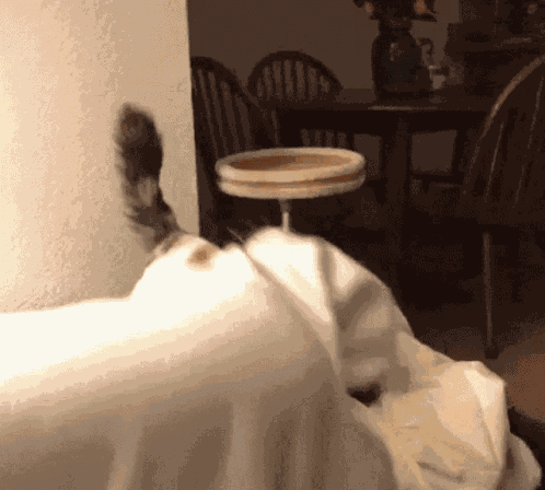 Blanket Attack Cat Biting Blanket GIF