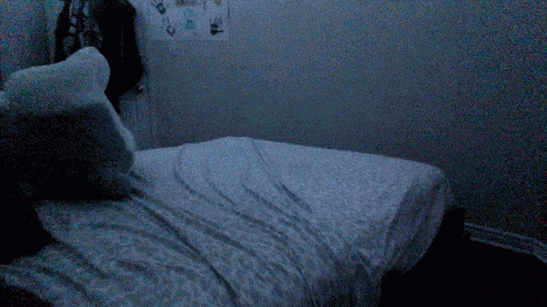 Blanket Burrito GIF