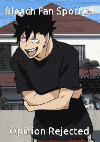 Bleach Anime GIF