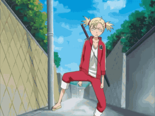 Bleach Anime GIF