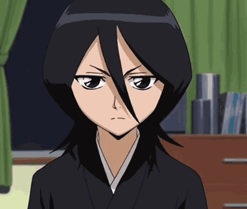 Bleach Anime GIF