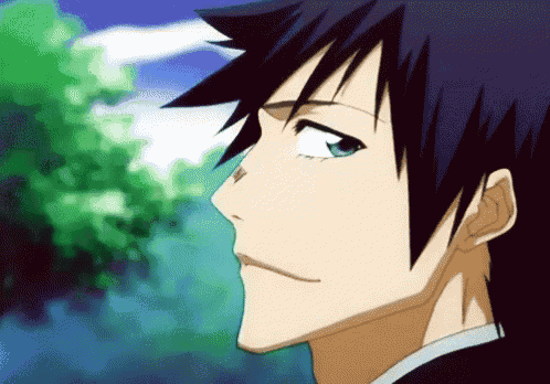 Bleach Kaien Shiba GIF