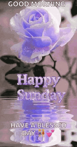 Blessings Sunday Blessings GIF