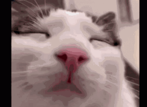 Blink Blink GIF