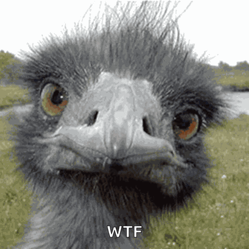Blinking Bad Hair Day GIF