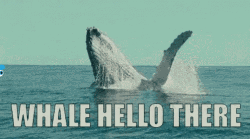 Blinkless Whale GIF