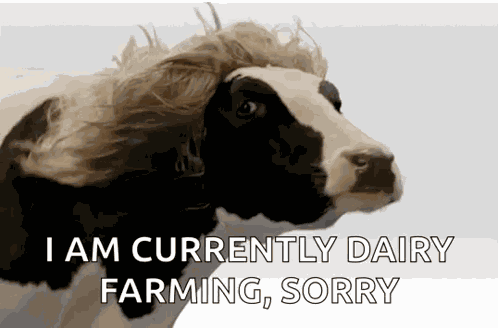 Blonde Cow Wig Cow GIF