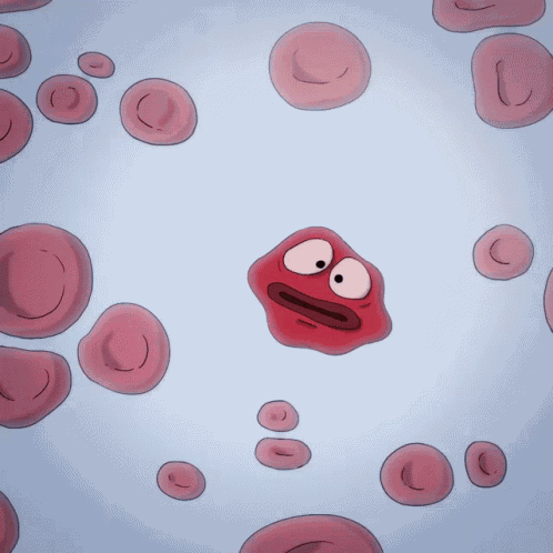 Blood Cell Hematocytes GIF