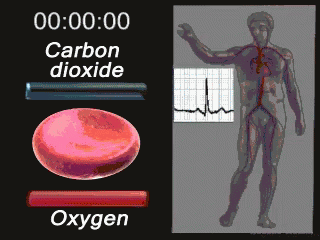 Blood Travel GIF