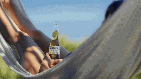 Blue Butterfly GIF