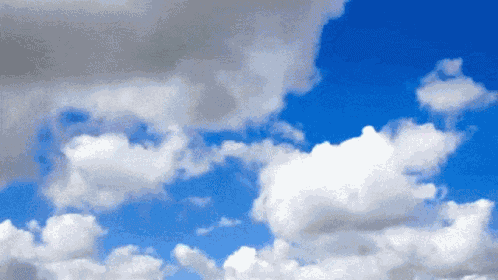 Blue Fly GIF