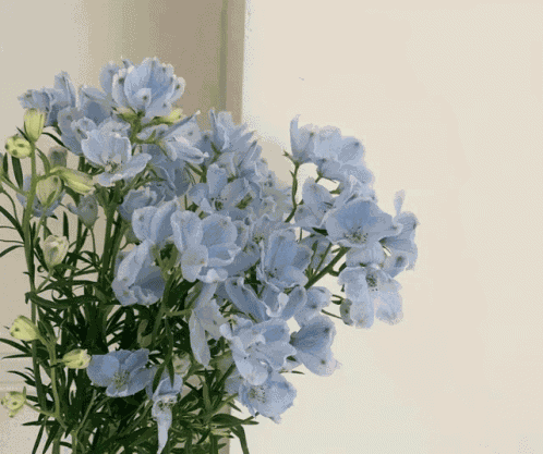 Blue Kpop Gif Nayeon Twice Gif GIF