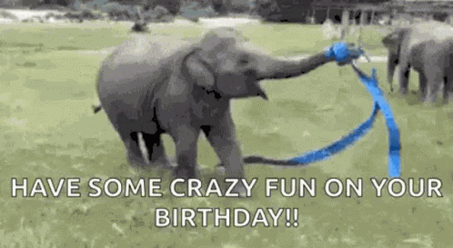 Blue Ribbon Elephant GIF