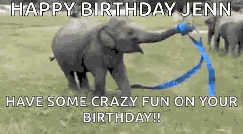 Blue Ribbon Elephant GIF