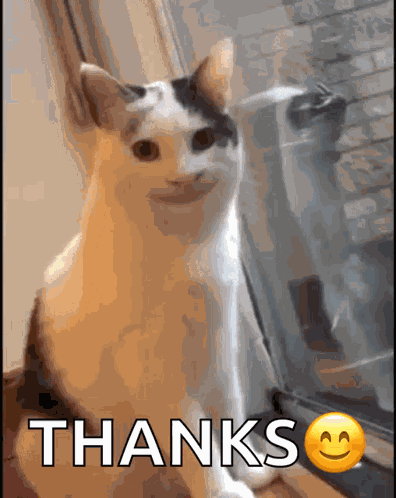 Blushing GIF