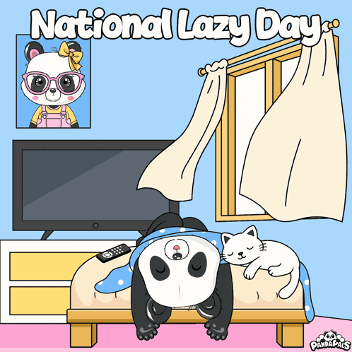 Bm Cat GIF