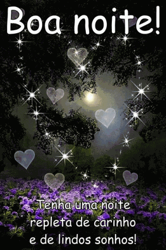 Boa Noite GIF