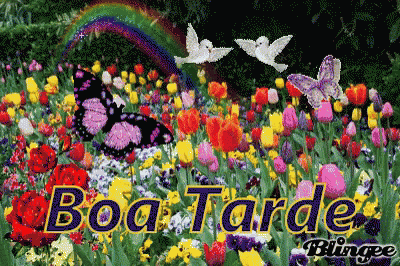 Boa Tarde Flores Do Campo GIF