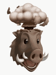 Boar Meme