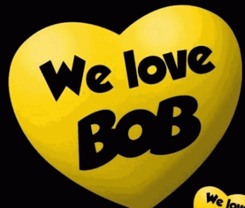 Bob The Cat Cat GIF