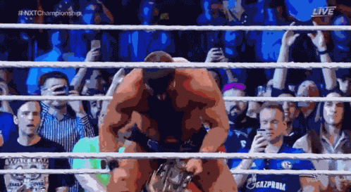 Bobby Roode New Champion GIF