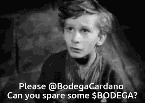 Bodega Cardano GIF