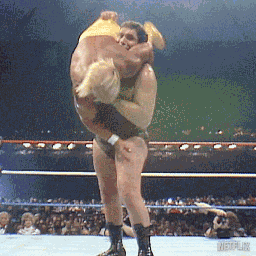 Body Slam Terry Bollea GIF