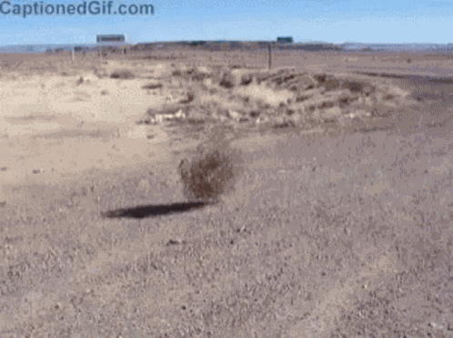 Bola De Feno Rolando No Deserto GIF