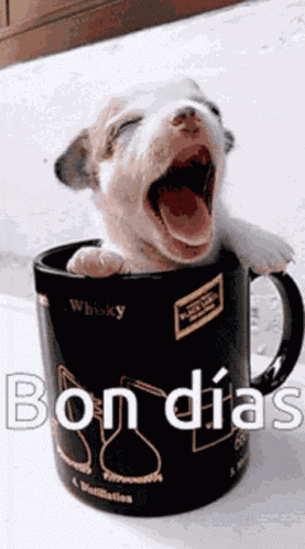 Bon Dias GIF