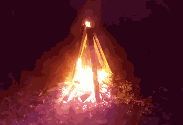Bonfire Campfire GIF