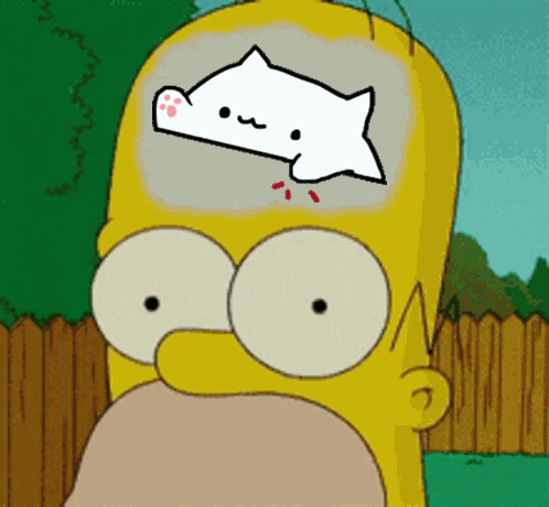 Bongocatsolana Bongosolana GIF