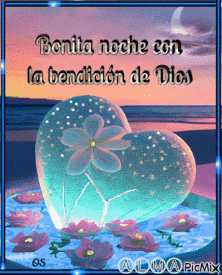 Bonita Noche GIF