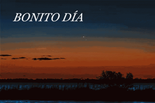 Bonito Día GIF