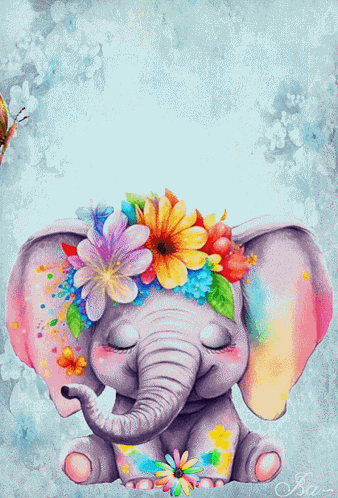 Bonjour Coucou GIF