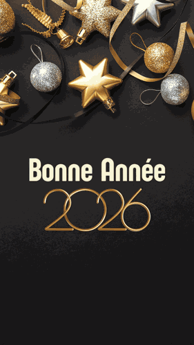 Bonne Année 2026 Voeux GIF