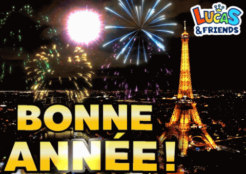 Bonne Année Bonne Annee GIF