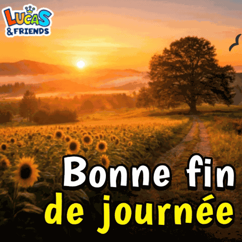 Bonne Fin De Jornee Enjoy The Rest Of The Day GIF