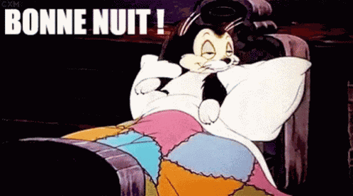 Bonne Nuit GIF