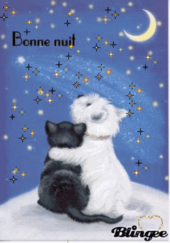 Bonne Nuit Goodnight GIF