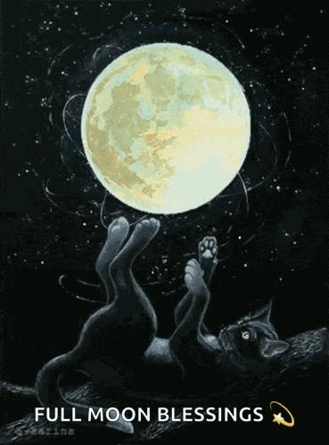 Bonne Nuit Moon GIF