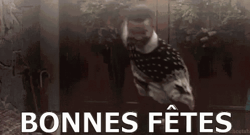 Bonnes Fêtes GIF
