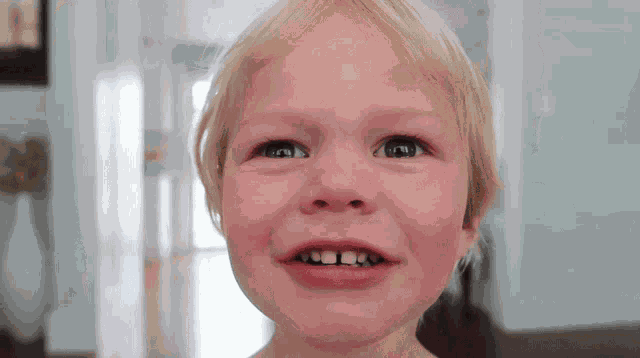 Bonnie Hoellein Lincoln Hoellein GIF