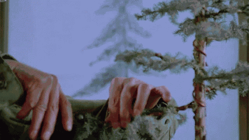 Bonsai Tree Care Mr Miyagi GIF