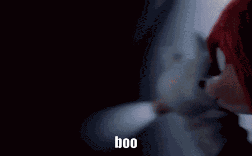 Boo Shadow The Hedgehog GIF