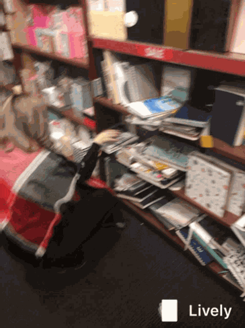 Book Library GIF