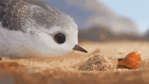 Boop Bird GIF