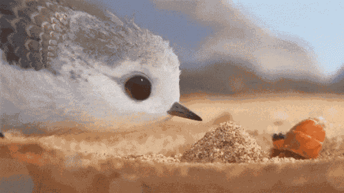 Boop Bird GIF