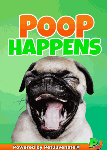 Boop Bork Blep Boof And Hound Dog Dog Talk Love Doggo GIF