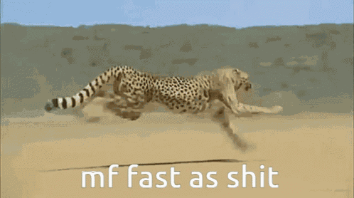 Boplap Cheetah GIF