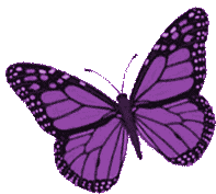 Borboletas Butterflies Sticker